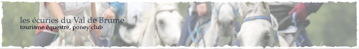les écuries du Val de Brume